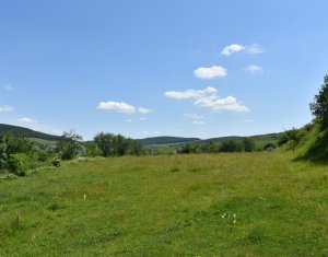 Terrain à vendre dans Vultureni, zone Centru