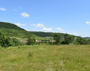 Terrain à vendre dans Vultureni, zone Centru