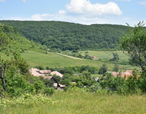 Terrain à vendre dans Vultureni, zone Centru