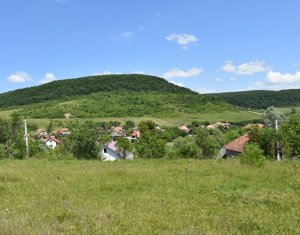 Terrain à vendre dans Vultureni, zone Centru