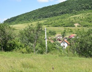 Terrain à vendre dans Vultureni, zone Centru