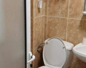 Appartement 1 chambres à louer dans Cluj-napoca, zone Intre Lacuri