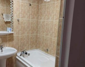 Appartement 1 chambres à louer dans Cluj-napoca, zone Intre Lacuri