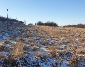 , 1036m2 dans Feleacu