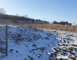 Terrain à vendre dans Feleacu