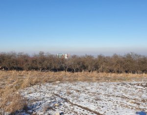 Terrain à vendre dans Feleacu