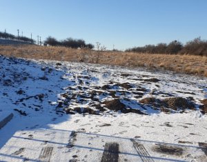 Terrain à vendre dans Feleacu