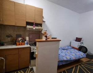 Appartement 1 chambres à vendre dans Cluj-napoca, zone Dambul Rotund