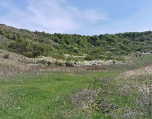 Land for sale in Floresti