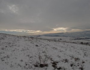 , 2985m2 on Cluj-napoca, Zóna Borhanci