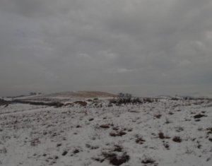 Telek eladó on Cluj-napoca, Zóna Borhanci