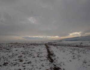 Telek eladó on Cluj-napoca, Zóna Borhanci