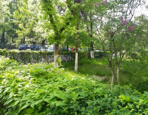 , 47m2 on Cluj-napoca, Zóna Gheorgheni