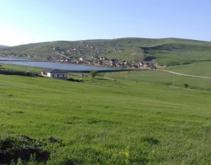 , 2500m2 on Cluj-napoca