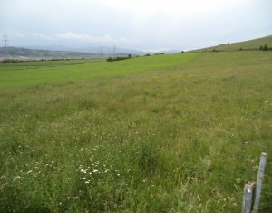 Telek eladó on Cluj-napoca