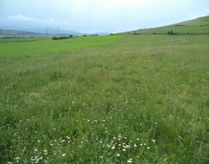 Telek eladó on Cluj-napoca
