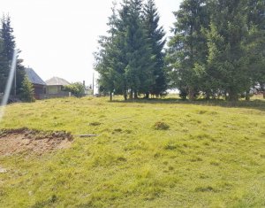 Telek eladó on Belis