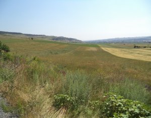 , 2000m2 on Cluj-napoca