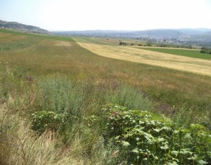 Telek eladó on Cluj-napoca