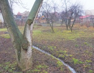 Telek eladó on Cluj-napoca, Zóna Bulgaria