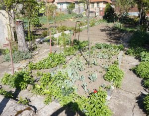 Telek eladó on Cluj-napoca, Zóna Iris