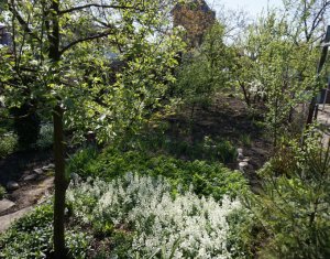 Telek eladó on Cluj-napoca, Zóna Iris