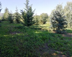 Telek eladó on Cluj-napoca, Zóna Becas