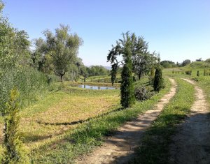 Telek eladó on Cluj-napoca, Zóna Becas