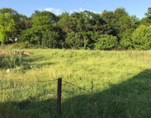 , 500m2 on Cluj-napoca, Zóna Iris