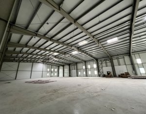 Industrial space for sale in Apahida