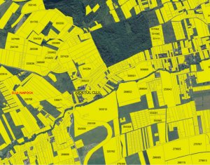Investitie! Teren 1,55 ha, front stradal 50 ml, zona Oasului