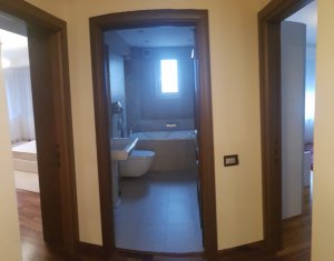 Appartement 3 chambres à louer dans Cluj-napoca, zone Andrei Muresanu