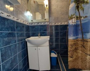 Appartement 1 chambres à louer dans Cluj-napoca, zone Intre Lacuri