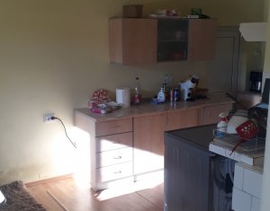 Maison 5 chambres à vendre dans Cluj-napoca, zone Someseni