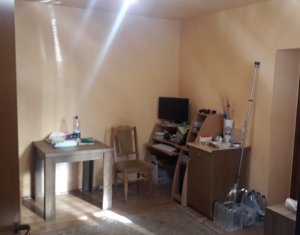 Maison 5 chambres à vendre dans Cluj-napoca, zone Someseni