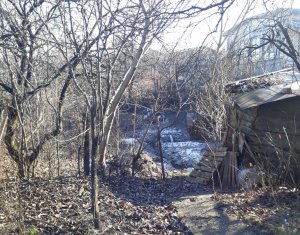 Casa si teren de 816 mp, zona Zorilor-Buna Ziua, Cluj-Napoca, reducere de preț!