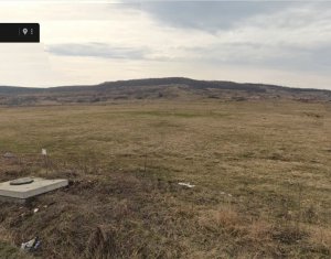 , 7627m2 dans Padureni (chinteni)