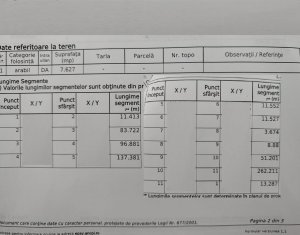 Terrain à vendre dans Padureni (chinteni)