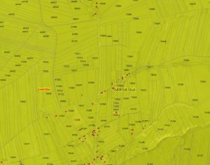 Terrain à vendre dans Padureni (chinteni)
