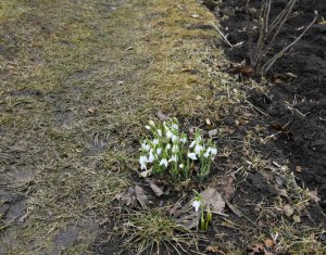 Maison 3 chambres à vendre dans Cluj-napoca, zone Manastur