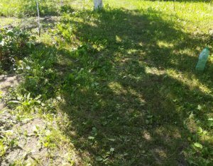 Maison 3 chambres à vendre dans Cluj-napoca, zone Manastur