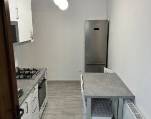 Appartement 1 chambres à louer dans Cluj-napoca, zone Centru