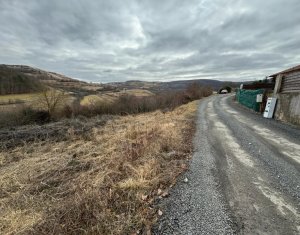 Terrain à vendre dans Floresti