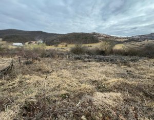 Terrain à vendre dans Floresti