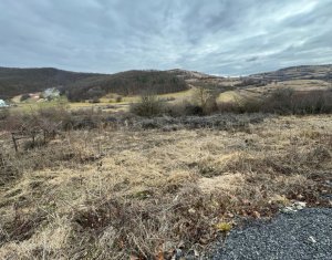 Terrain à vendre dans Floresti