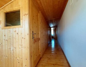 Maison 6 chambres à vendre dans Cluj-napoca, zone Faget