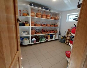 Maison 6 chambres à vendre dans Cluj-napoca, zone Faget