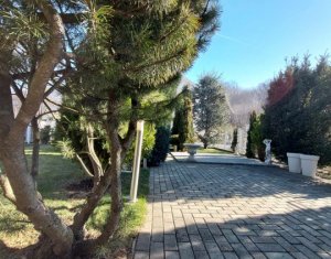 Maison 6 chambres à vendre dans Cluj-napoca, zone Faget