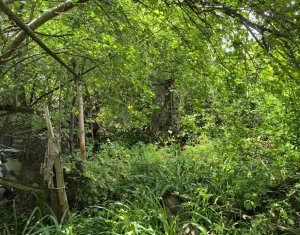 House 3 rooms for sale in Cluj-napoca, zone Andrei Muresanu