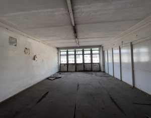 Industrial space for sale in Cluj-napoca, zone Iris